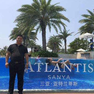 Trasmissione di luce ad alta trasparenza Università su misura Piscina di superficie