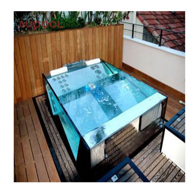 Acrilico-100% Lucite PMMA Skimmer per piscina importato per un design trasparente e chiaro