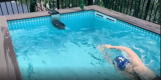 Trasforma il tuo interno in una destinazione per nuotare con la piscina a cielo aperto