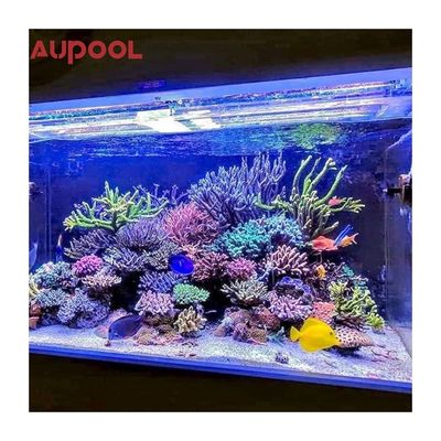 Modello di pannello acrilico fuso 8M Lunghezza piscina in terra Grande piscina portatile senza fine