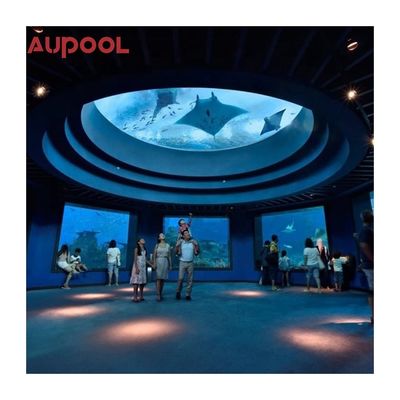 Piscina Acrilica AUPOOL Giardino Cortile Spa a nuoto lungo senza fine con copertura e riscaldamento