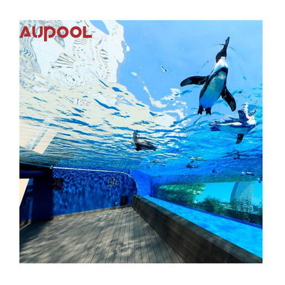 Funzionalità Cornice durevole sopra il terreno Piscina Hotel Piscina gonfiabile in lamiera di plastica