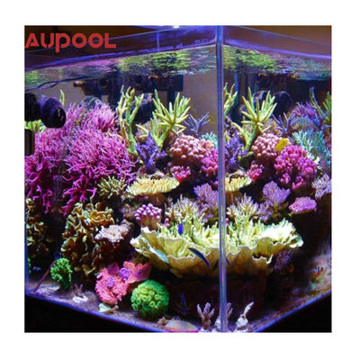 Panelli di piscina in plastica di dimensioni personalizzate per la moderna villa di formazione di riabilitazione