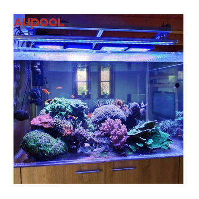 Parete acrilica trasparente per piscina acquario Paesaggio giardino personalizzato spessore 100 mm