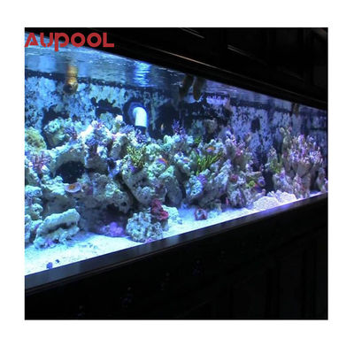 60 mm 80 mm piscina acrilica chiara con parete acrilica piscina con acqua cristallina