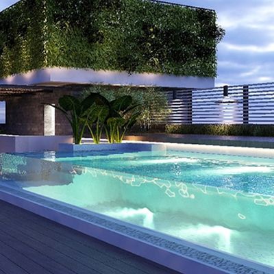 Piscine per famiglie superiori Piscine acriliche sopra terra per divertimenti all'aria aperta