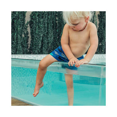 Finestra acrilica per piscina OEM per esterno di lusso