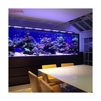 Piscina esterna e immersione con acrilico lucite puro al 100% di Sublue Dive Pools
